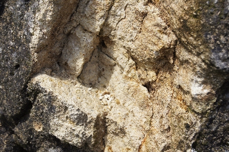 下白岩の石灰質砂岩