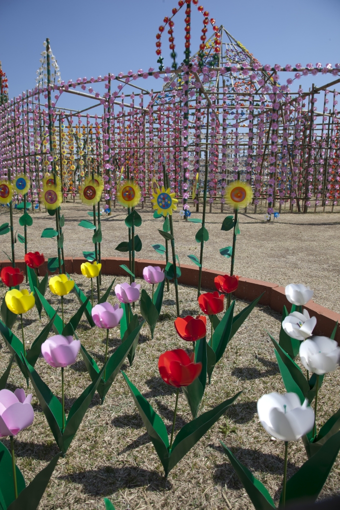 風の花祭り