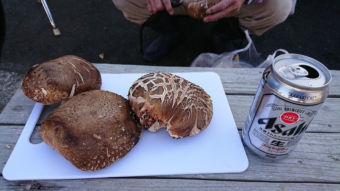 浮橋産特大椎茸 もちろん原木椎茸