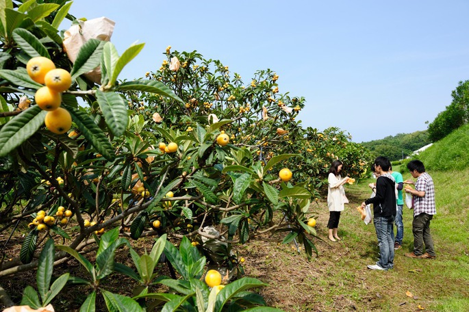 恋人岬 花木園
