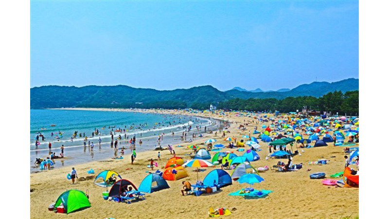 弓ヶ浜海水浴場観光と暮らしの伊豆フル