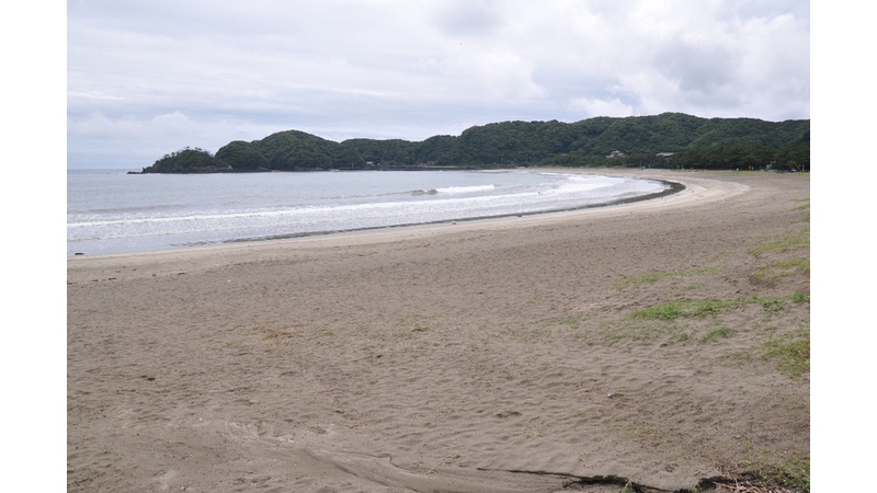 弓ヶ浜海水浴場観光と暮らしの伊豆フル