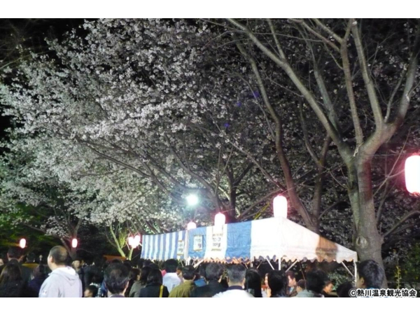 熱川温泉桜まつり