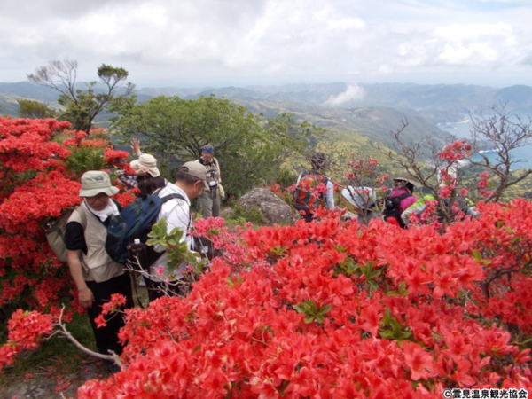 高通山つつじ祭り