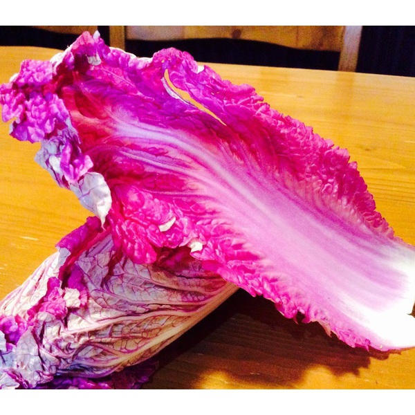 紫白菜(紫式部)
