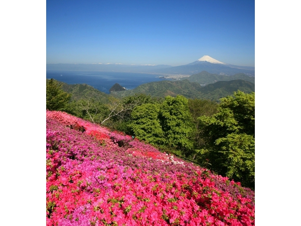 つつじ祭り