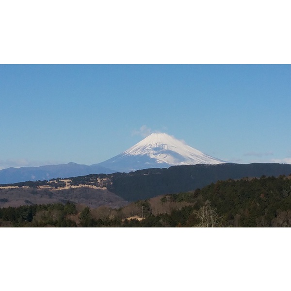 今日も、富士山がいい笑顔です
