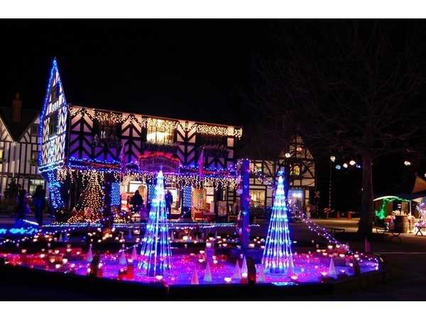 2014クリスマス夜間開園