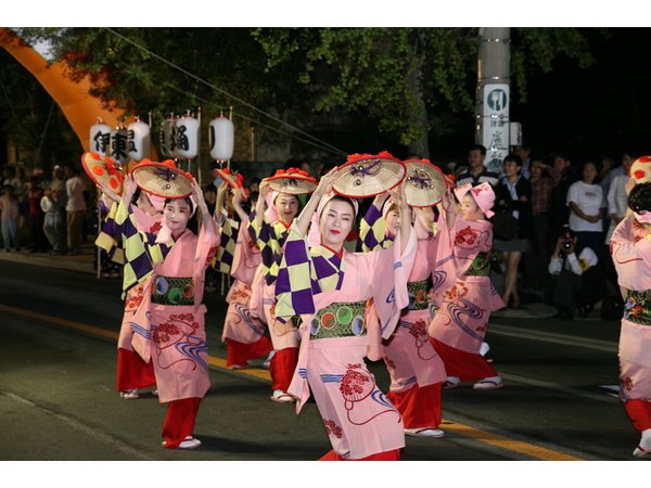 第20回　伊東温泉花笠踊り
