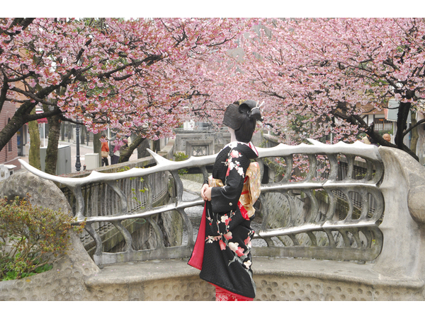 第7回あたみ桜 糸川桜まつり