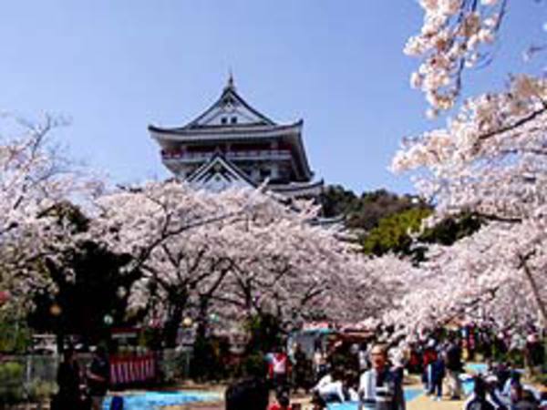 熱海城桜まつり