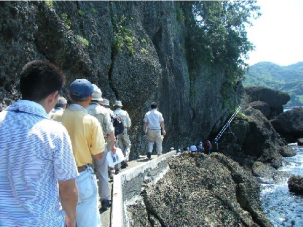 松崎町 柿崎弁天島