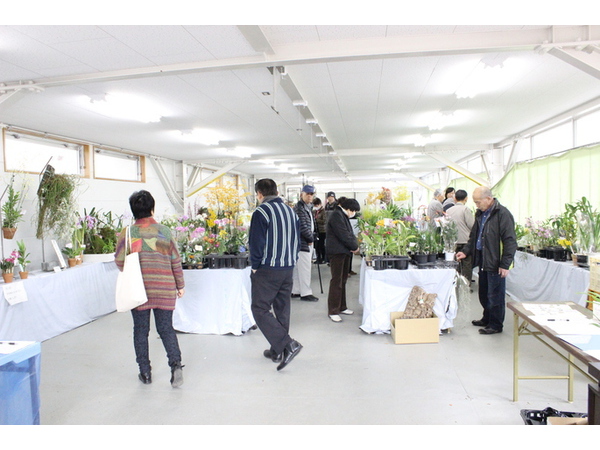 洋らん展