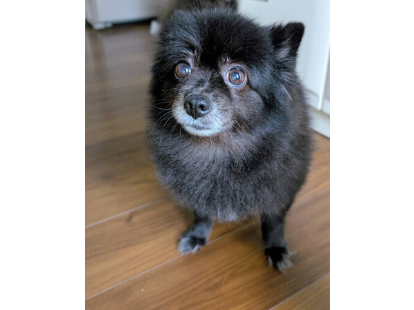 こっちゃん日記