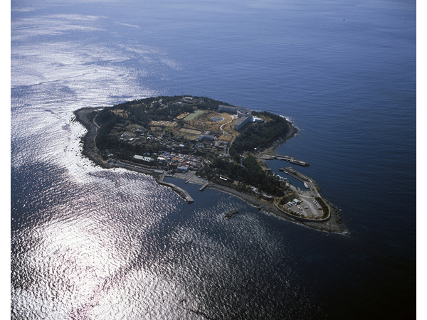 初島花火大会