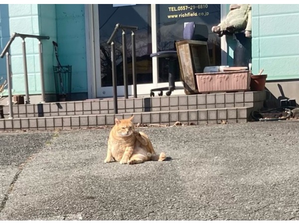 =^_^=スーパー猫の日=^_^=