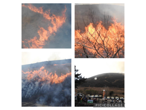 △大室山山焼き開催△