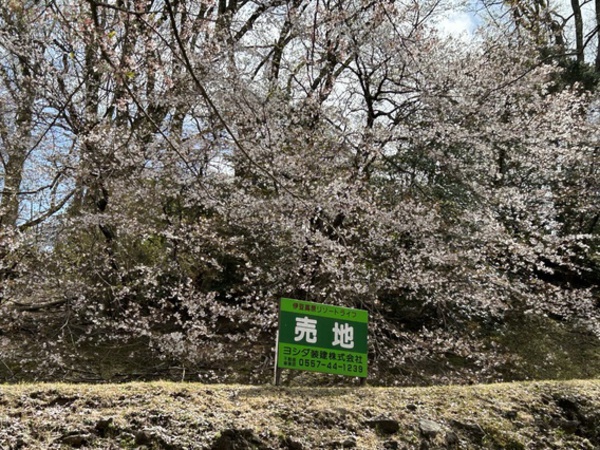 ❀イトーピアの桜3❀