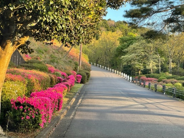 小室山