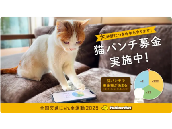 2/22　猫の日でした