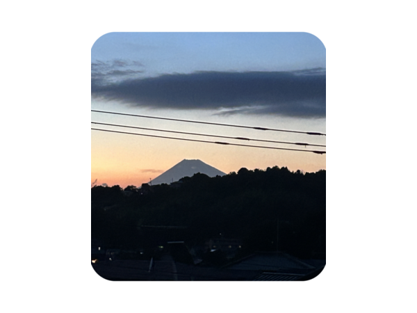 窓から