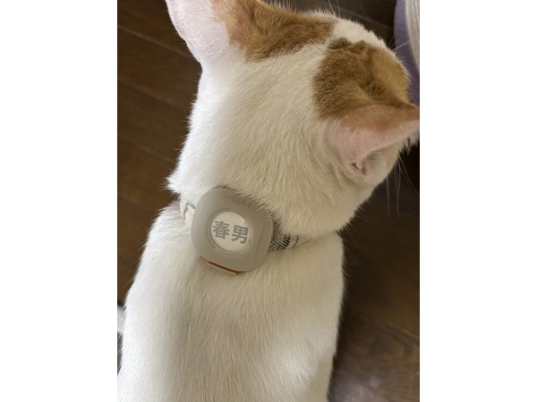 (=^・^=)春男です(=^・^=)