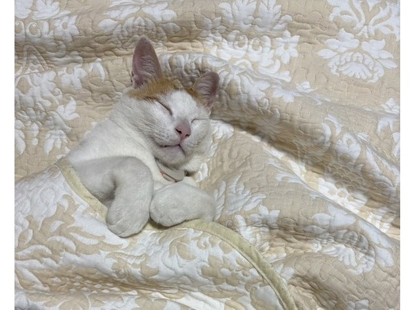 ヨシダ装建（株）