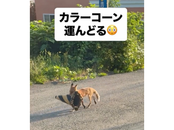 ---今年もあと僅か---