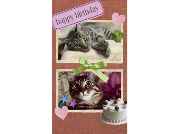 ヨシダ装建（株）