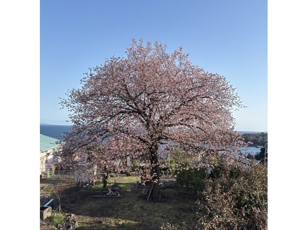 ヨシダ装建（株）