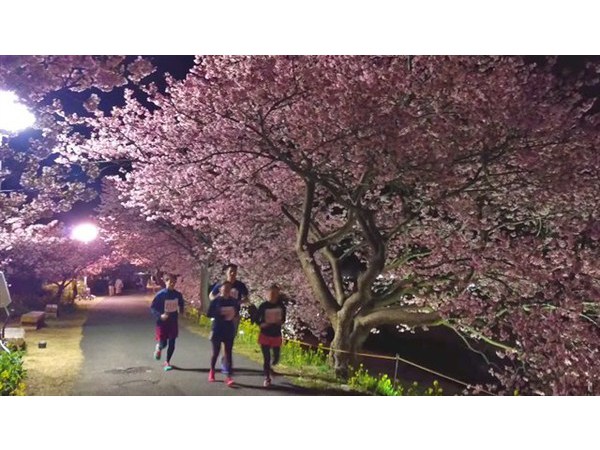 第3回 みちくさ夜桜マラソンin南伊豆町
