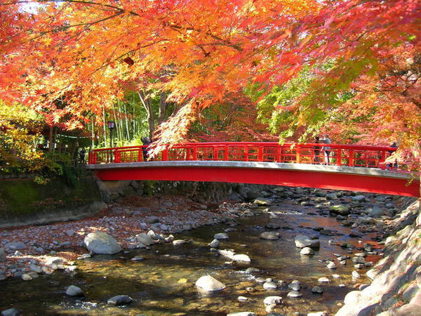 修善寺もみじまつり（修善寺もみじ林）