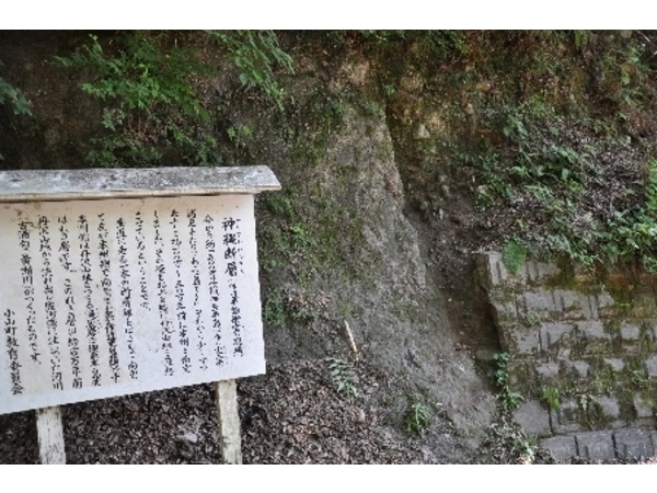 神縄断層～衝突の現場～